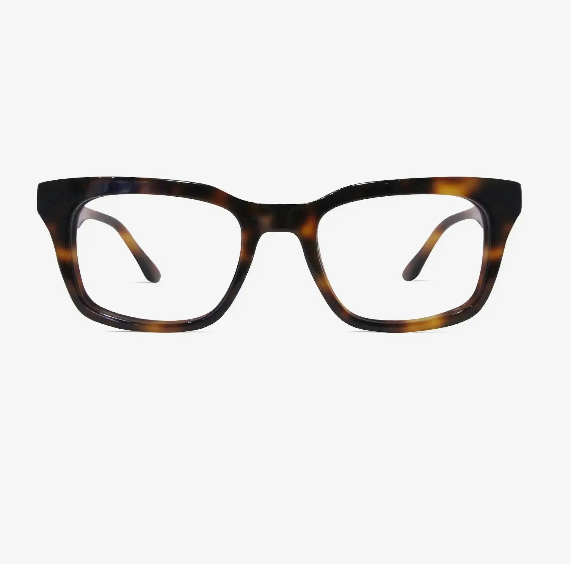 Huxley glasses | Phalen Tortoise 
